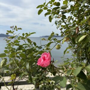 IMG_8056